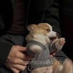 Avatar de Manuel Ortiz